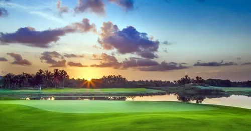 Golf course green at sunset beside a lake and palm trees
