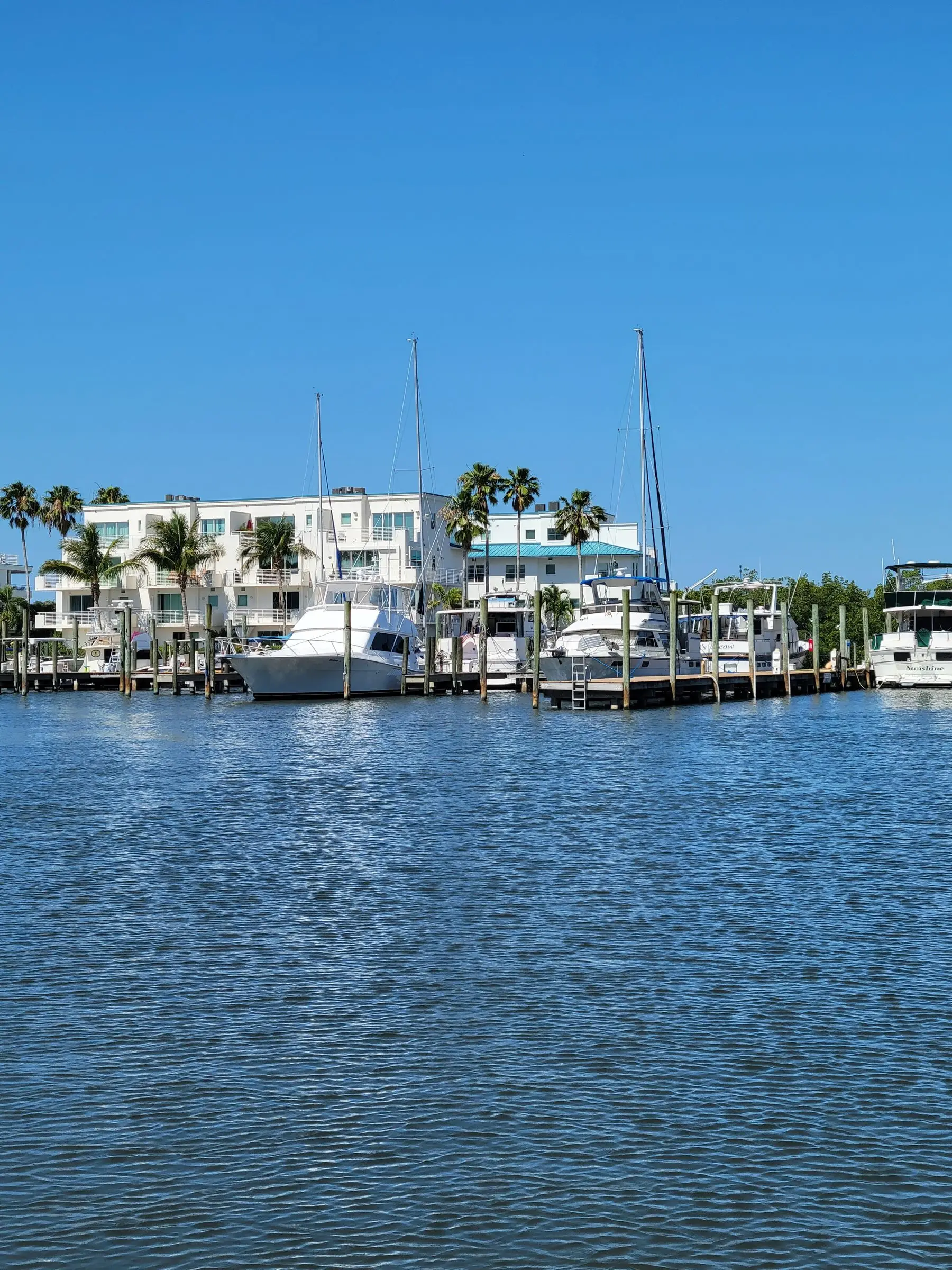 Marina with boats and palm trees